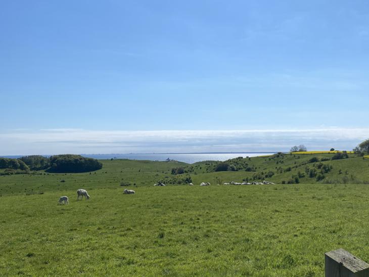 Bostad Vipevägen Landskrona