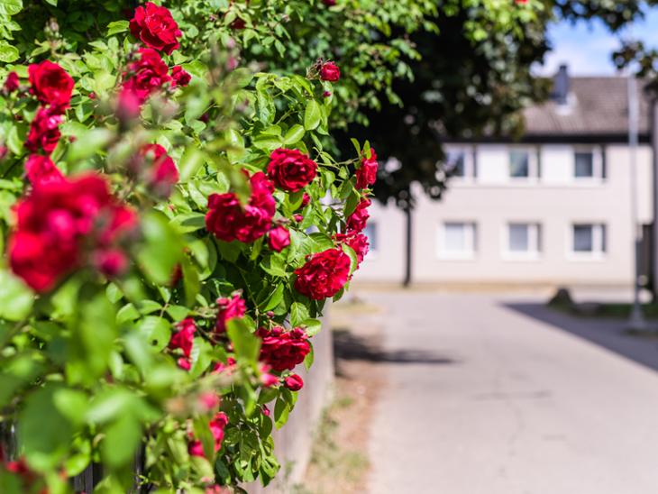Bostad Fogdegatan 36 Linköping