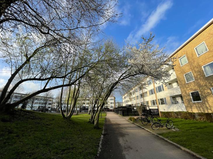 Bostad Röingegatan 22C Hässleholm