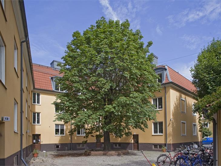 Bostad Lagergrensgatan Norrköping