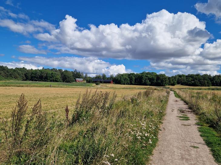 Bostad August södermans väg Uppsala