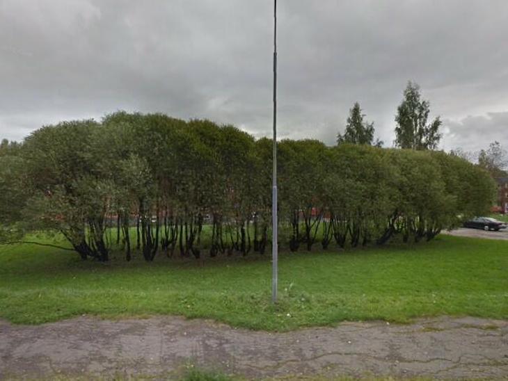 Hammarvägen 5 - Skönsberg, Sundsvall