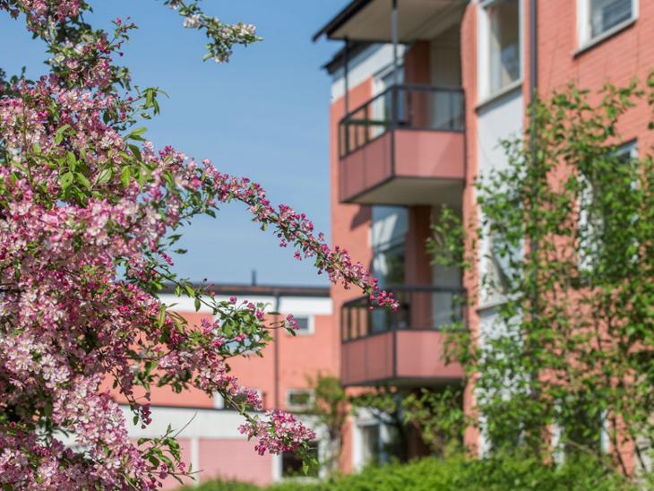 Bostad Bruno Liljeforsgatan Uppsala